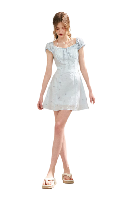 Embroidered A-Line Short Sleeve Dress