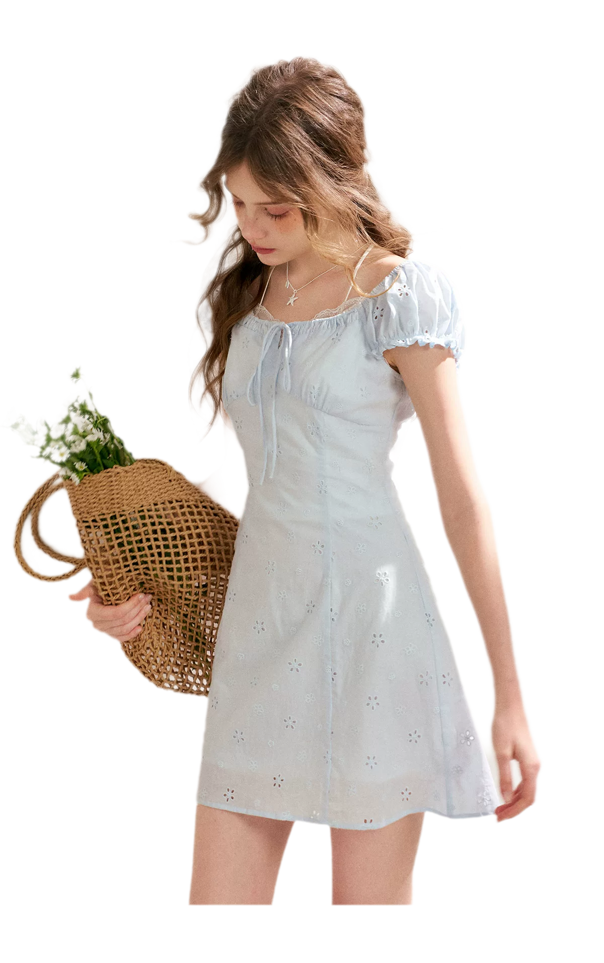 Embroidered A-Line Short Sleeve Dress