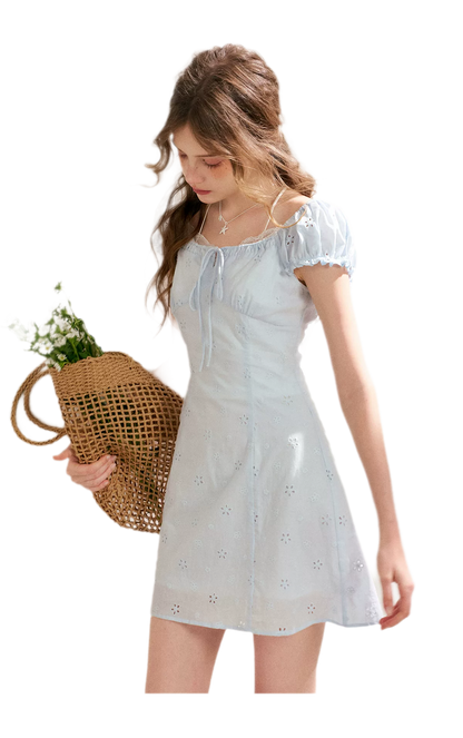 Embroidered A-Line Short Sleeve Dress