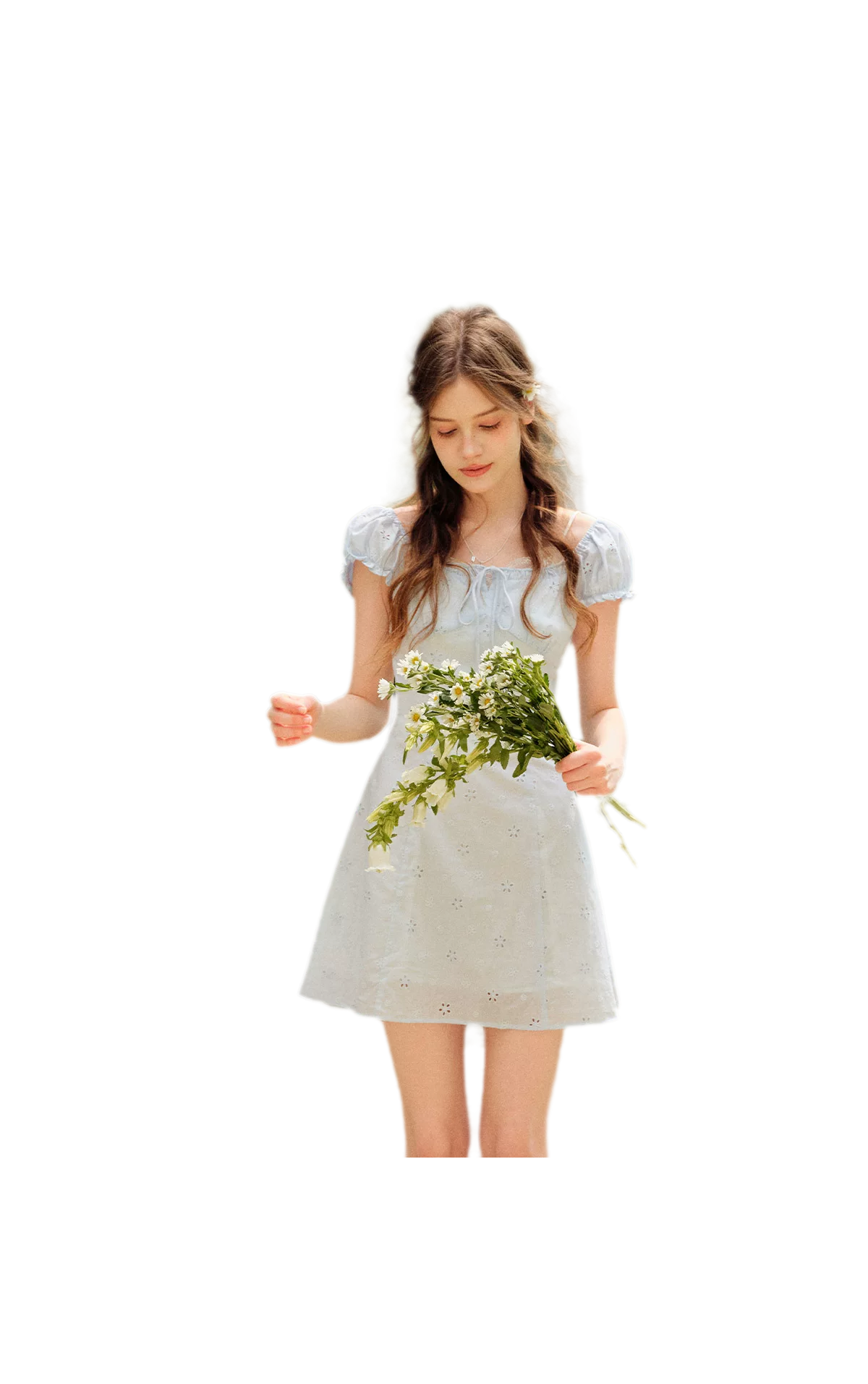 Embroidered A-Line Short Sleeve Dress