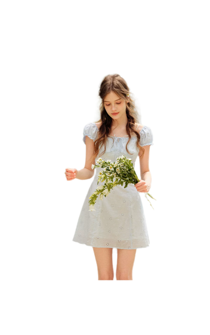 Embroidered A-Line Short Sleeve Dress