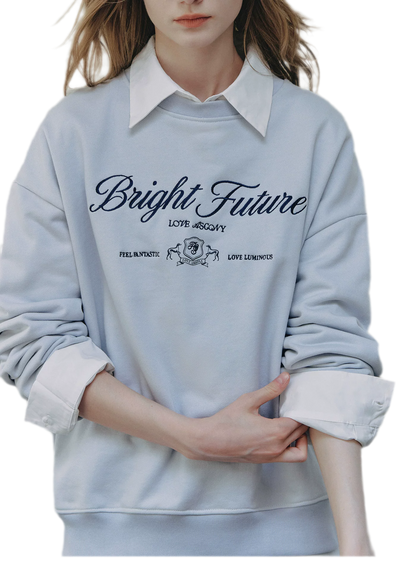 Embroidered Graphic Crewneck Sweatshirt