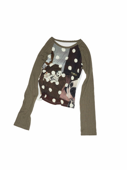 Cat Print Raglan Sleeve Color-Blocking T-Shirt