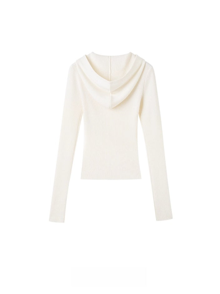 Dawn Hooded Wool Knit Turtleneck