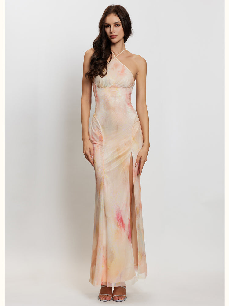 Alina Halter Neck Backless Floral Print Dress - CHINASQUAD