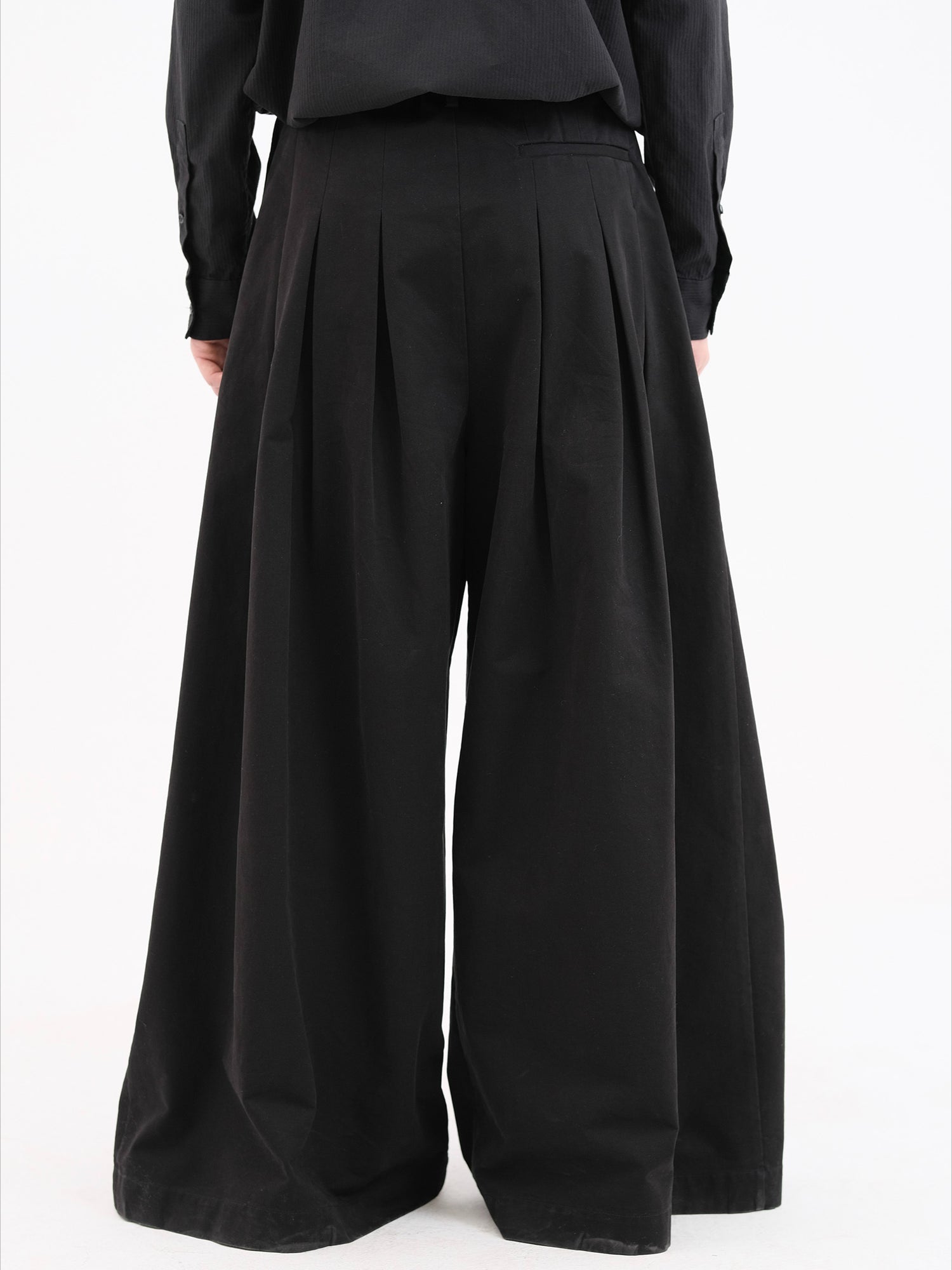 Pleated Wide-Leg Pants