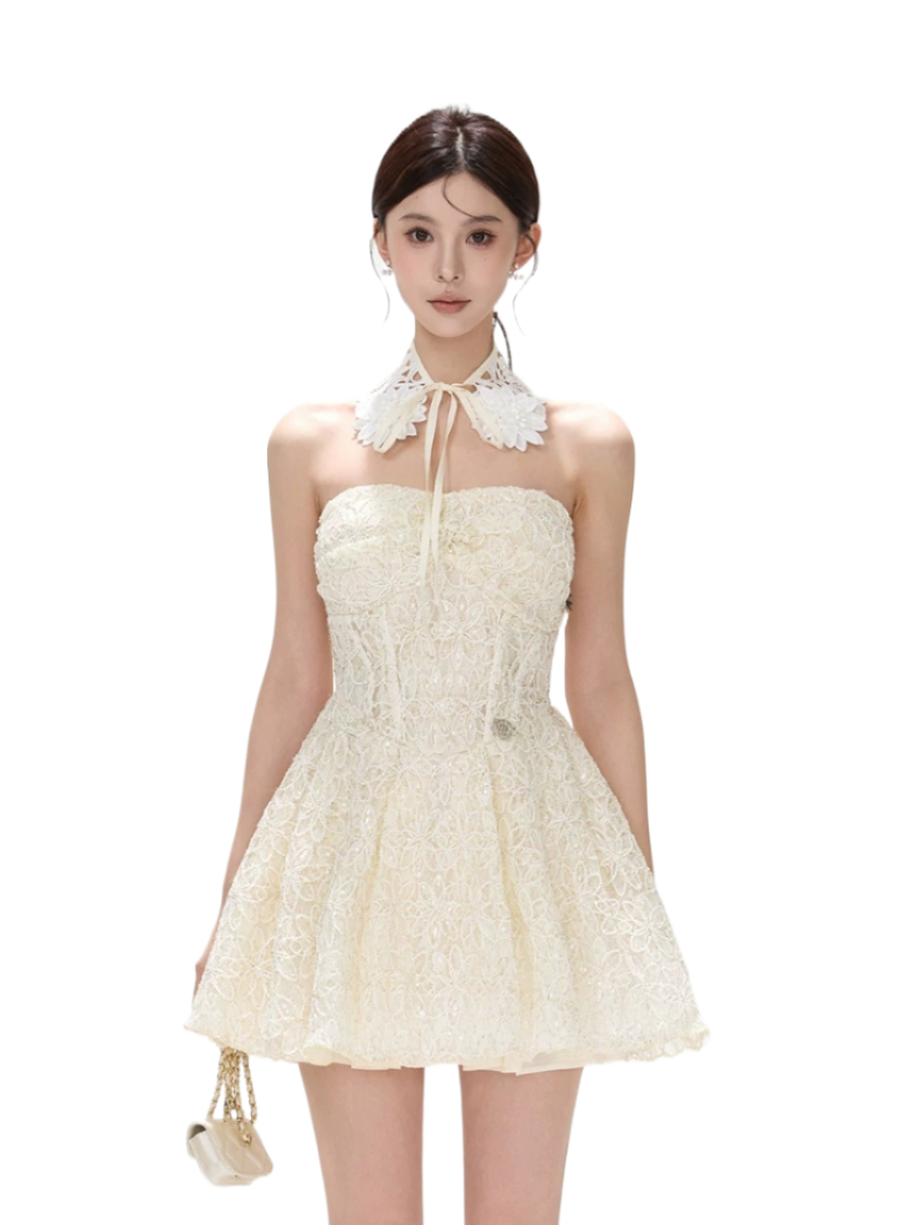 Seine Garden Embroidered Lace Mini Dress