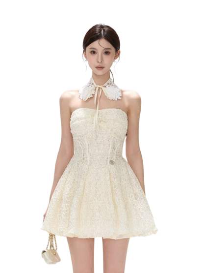 Seine Garden Embroidered Lace Mini Dress
