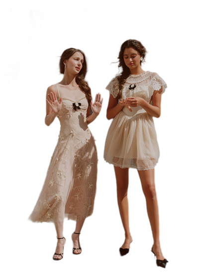 Embroidered Bow Mesh Dress