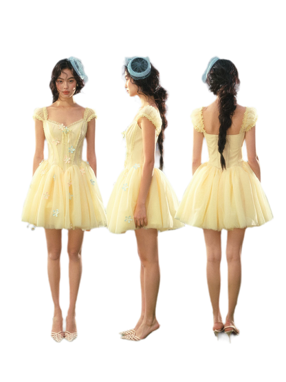 Lace Corset Flared Dress
