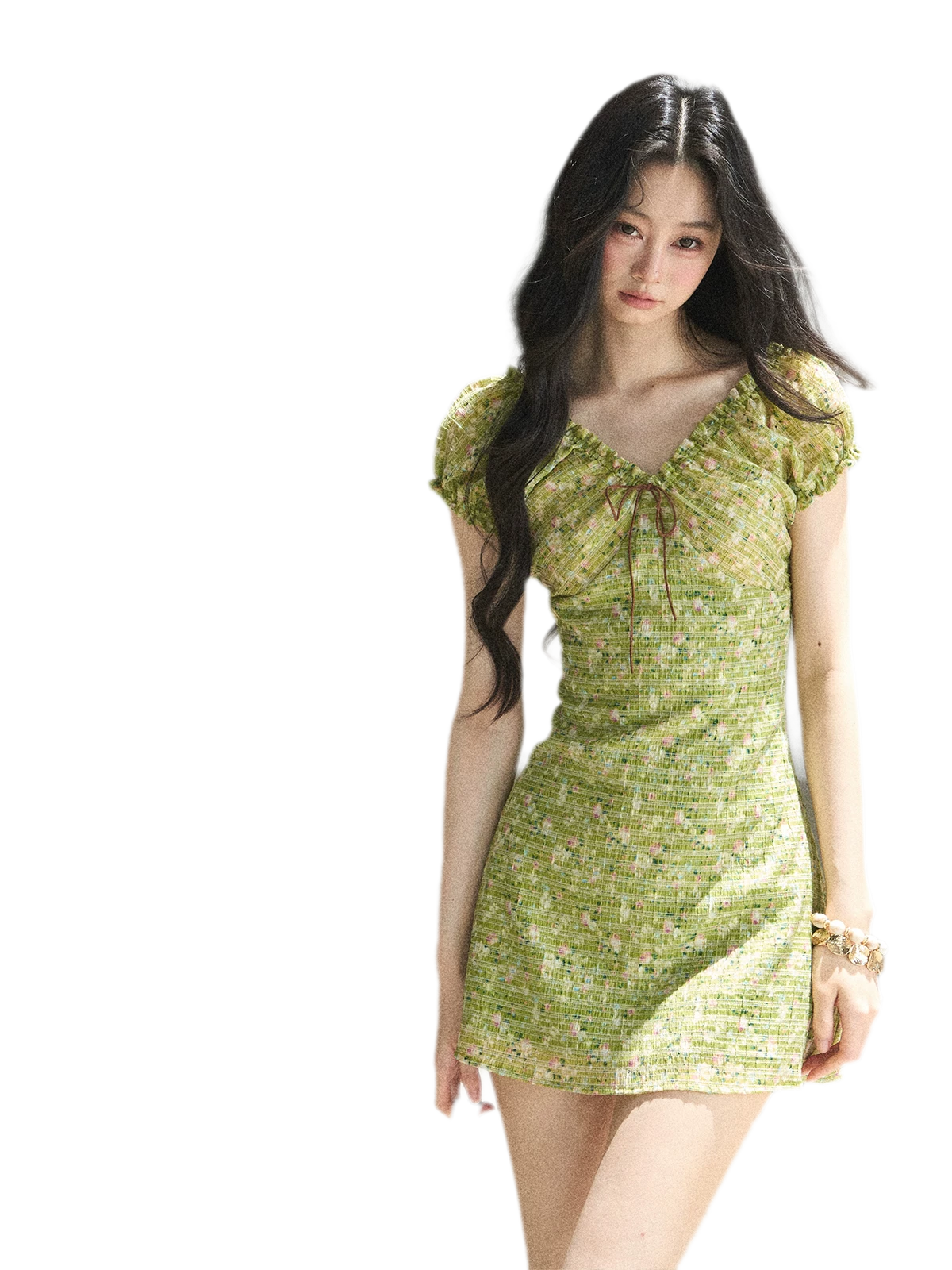 Chiffon Embroidered Mini Dress