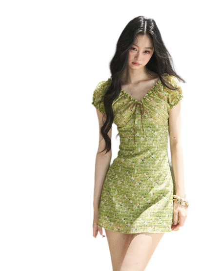 Chiffon Embroidered Mini Dress