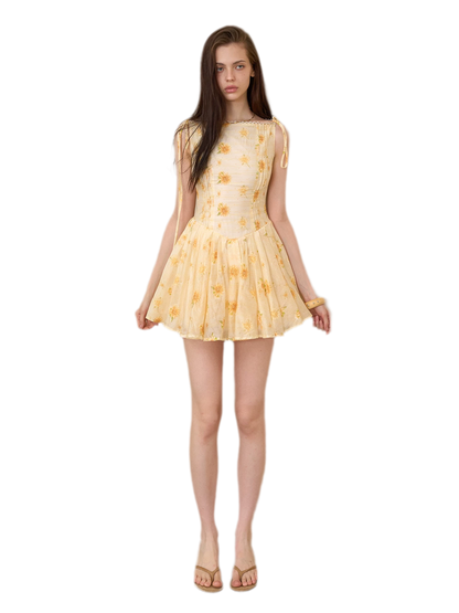 Daisy Embroidered Mini Dress