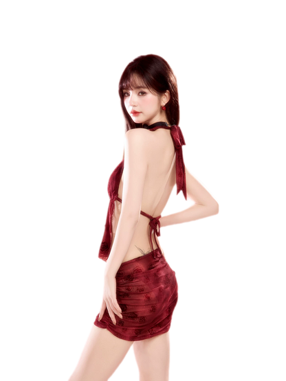 Deep V Skirt Bikini