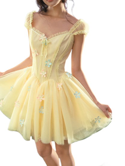 Lace Corset Flared Dress
