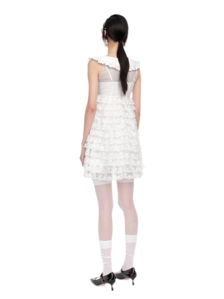 High-Waisted A-Line Lace Dress
