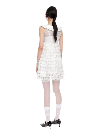 High-Waisted A-Line Lace Dress
