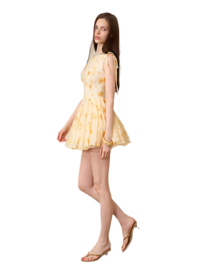 Daisy Embroidered Mini Dress