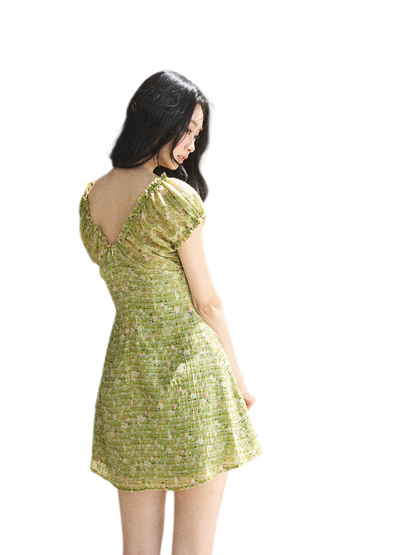 Chiffon Embroidered Mini Dress