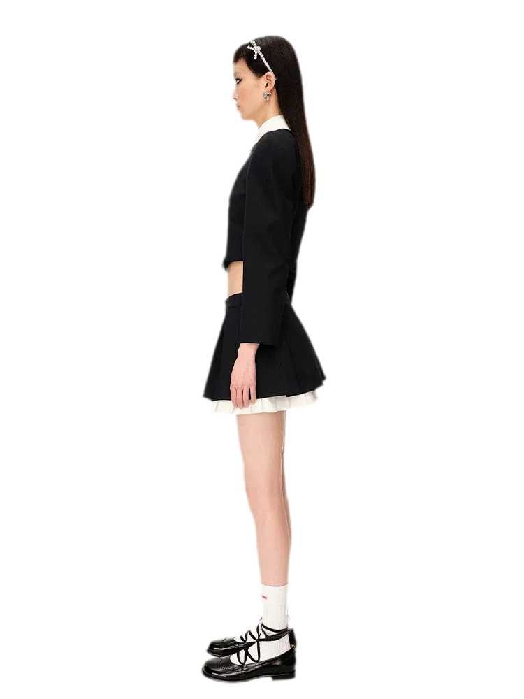 Wide Pleated A-Line Skirt