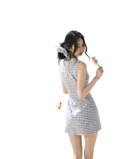 Breeze Check Embroidered Dress