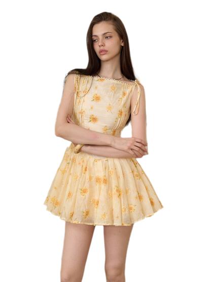 Daisy Embroidered Mini Dress