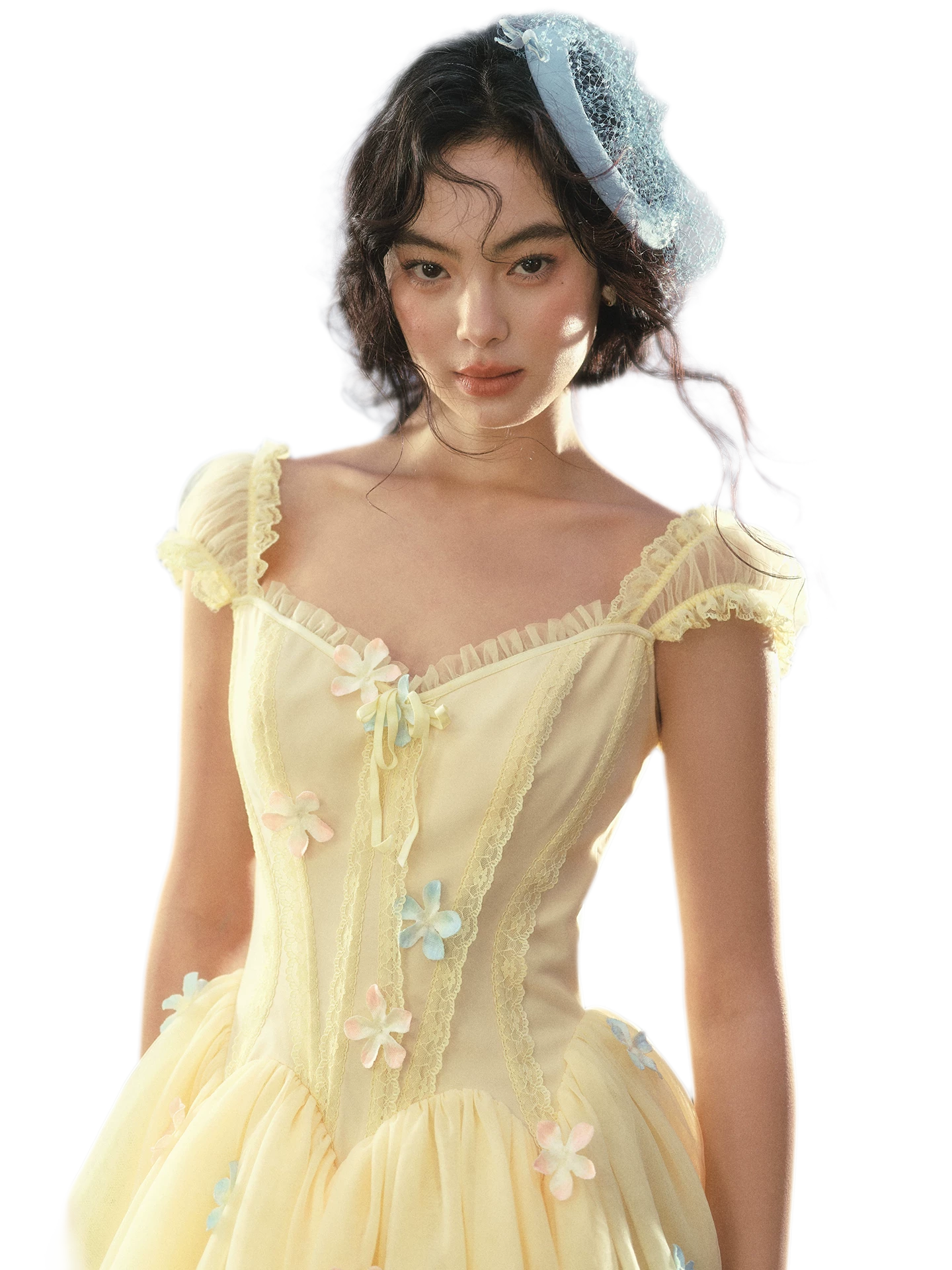 Lace Corset Flared Dress