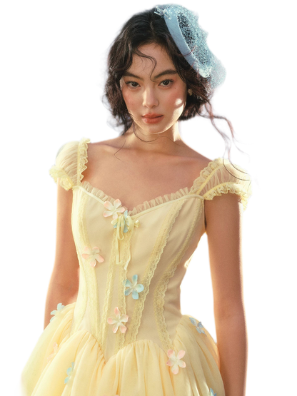 Lace Corset Flared Dress