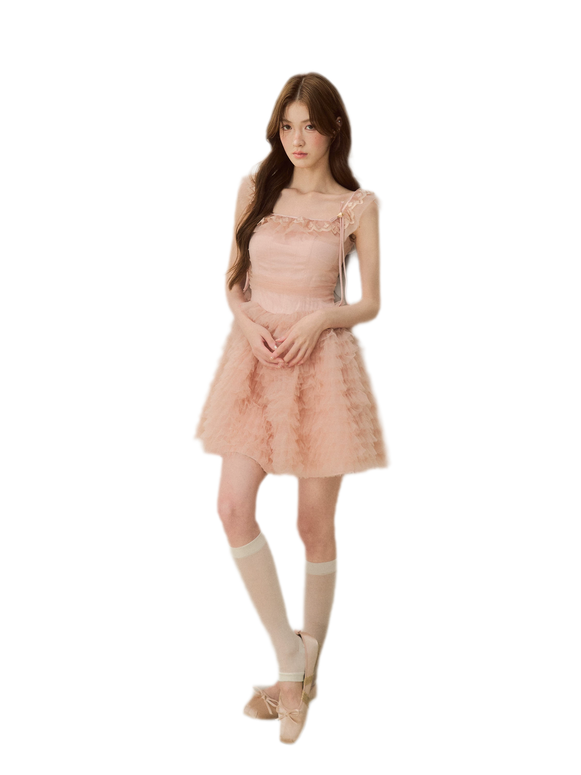 Lace Ruffle Tulle Dress