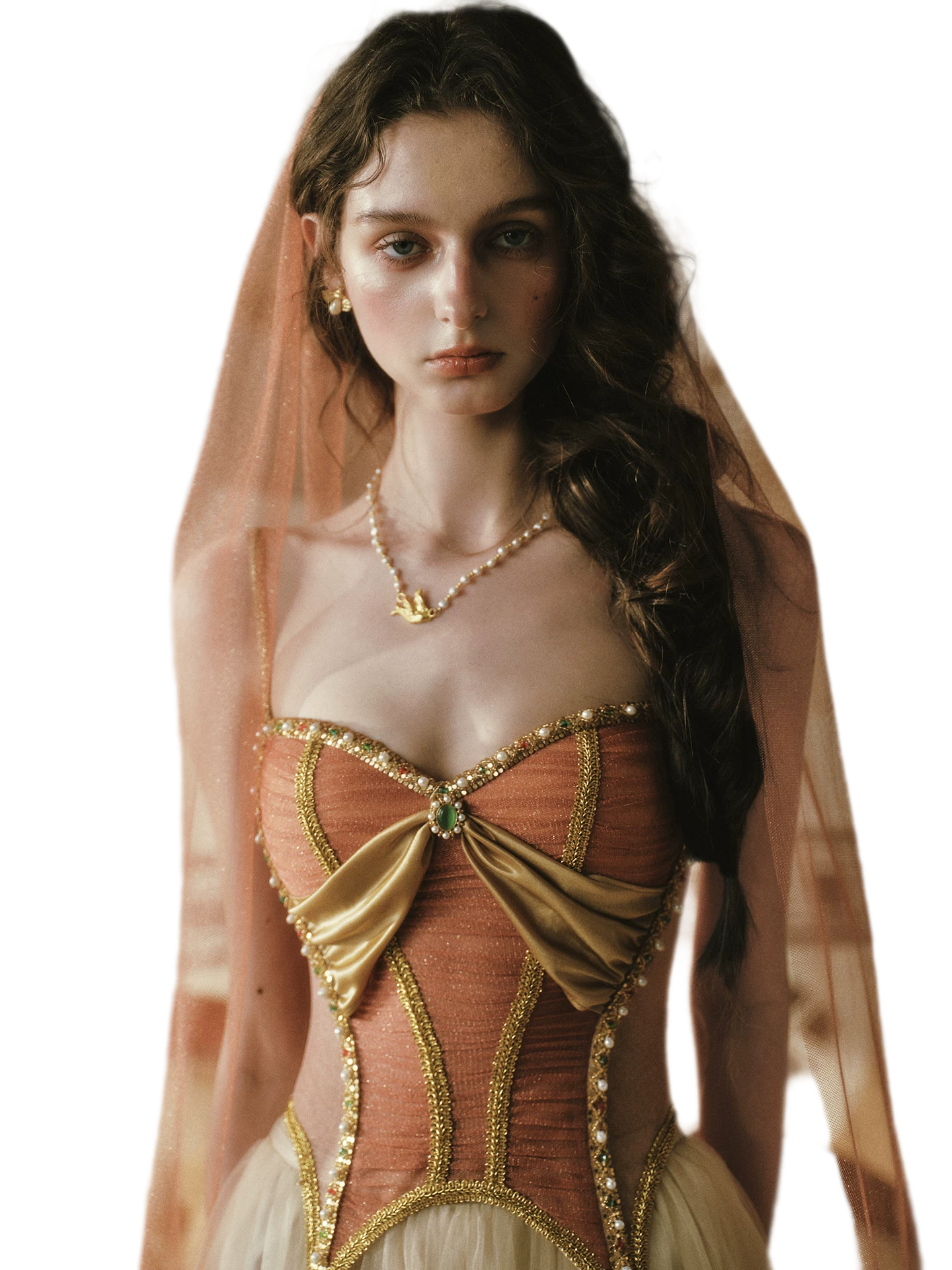 Gold Mesh Corset Dress Set