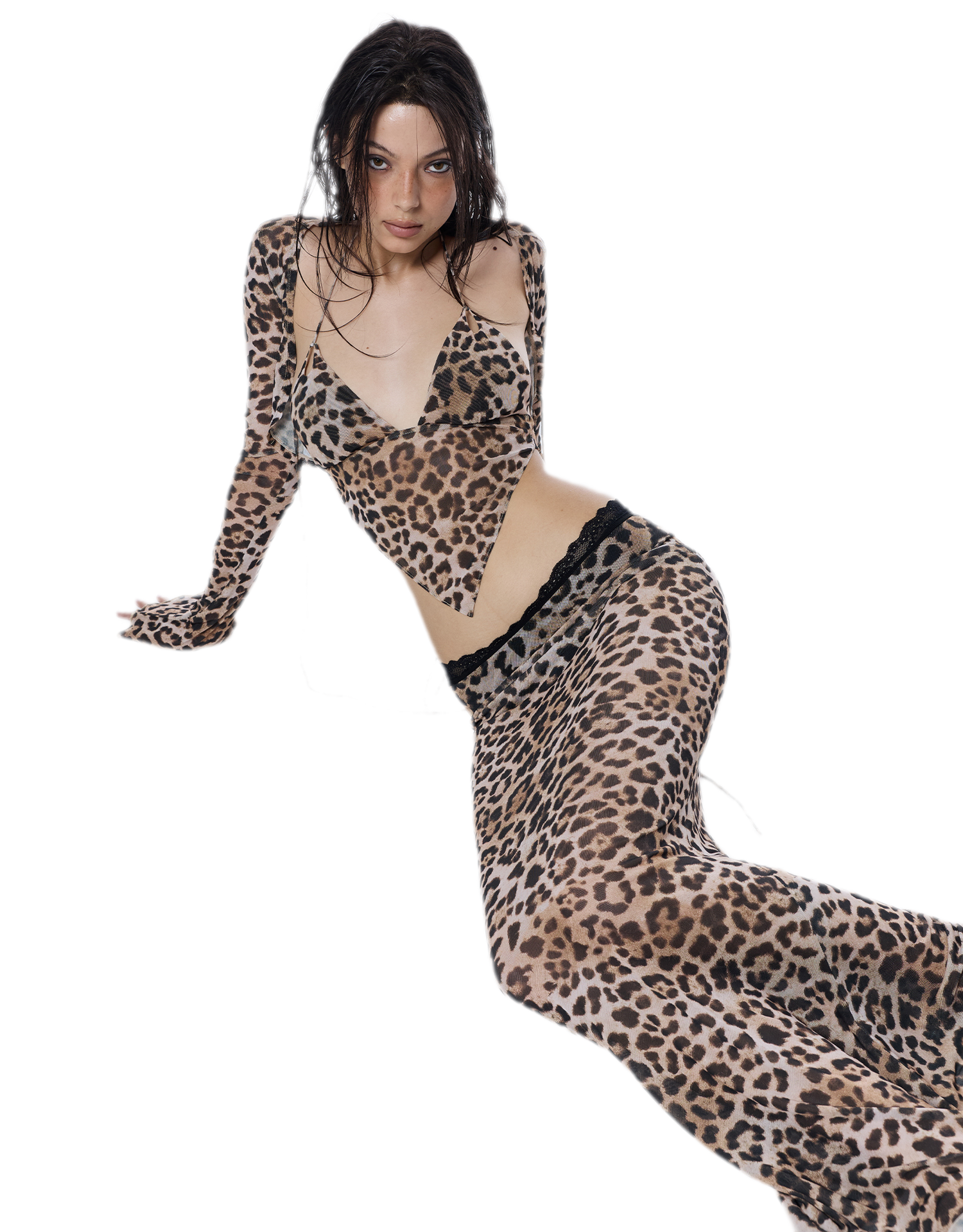 Leopard Mesh Midi Skirt