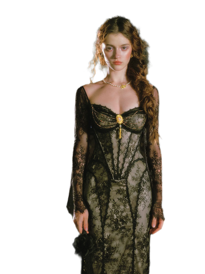 Lace Mermaid Long Sleeve Dress
