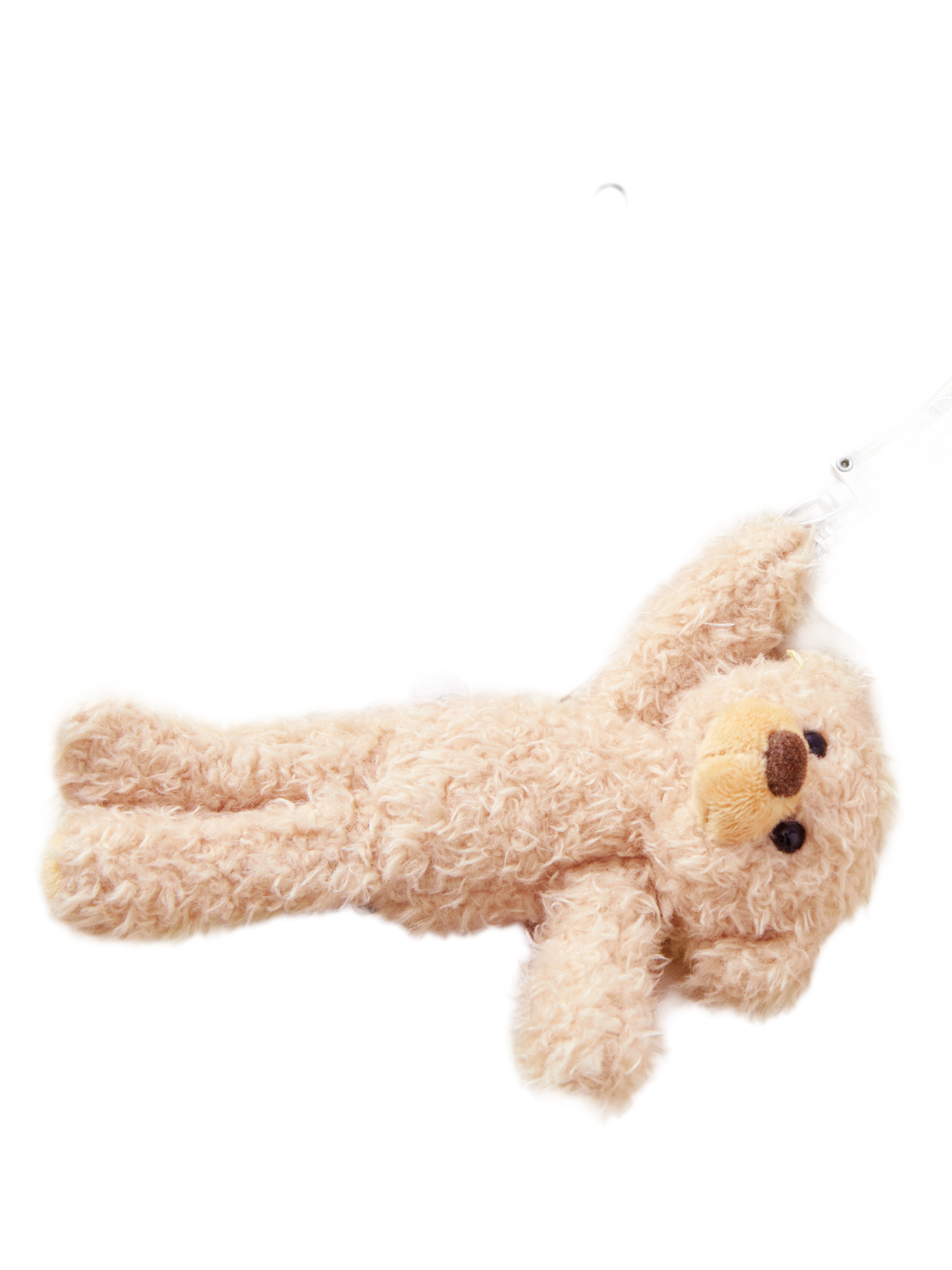 Bear Trim Trainer Jacket
