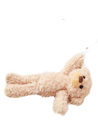 Bear Trim Trainer Jacket