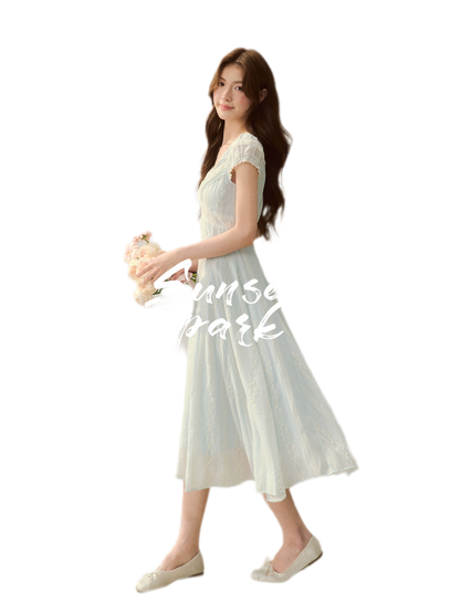 Embroidered Waist Dress