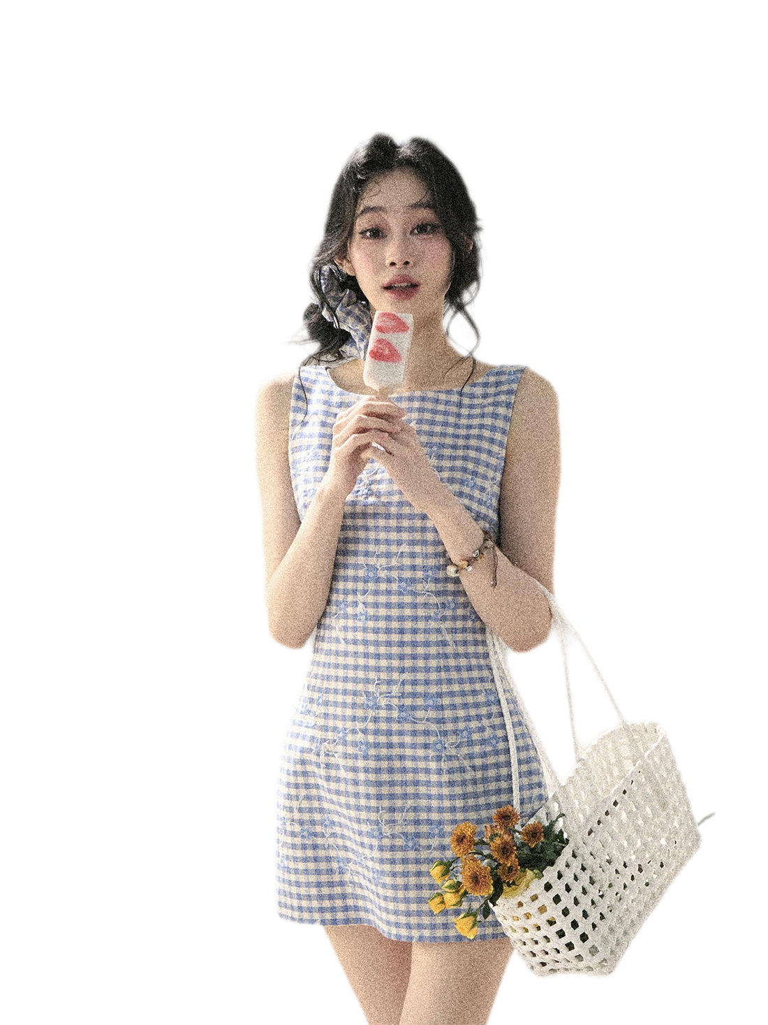 Breeze Check Embroidered Dress