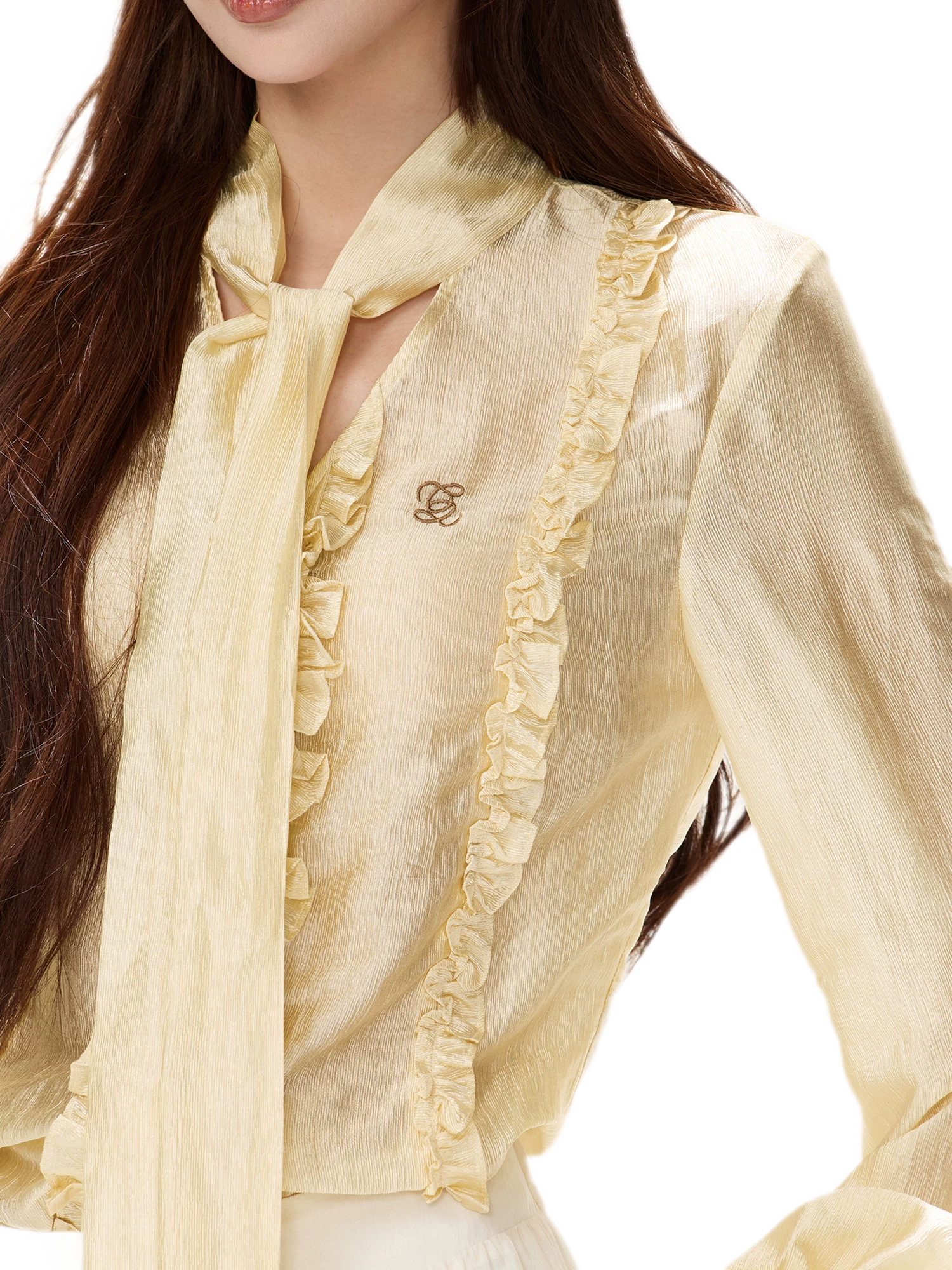 Shimmering Ruffle Lantern Sleeve Blouse