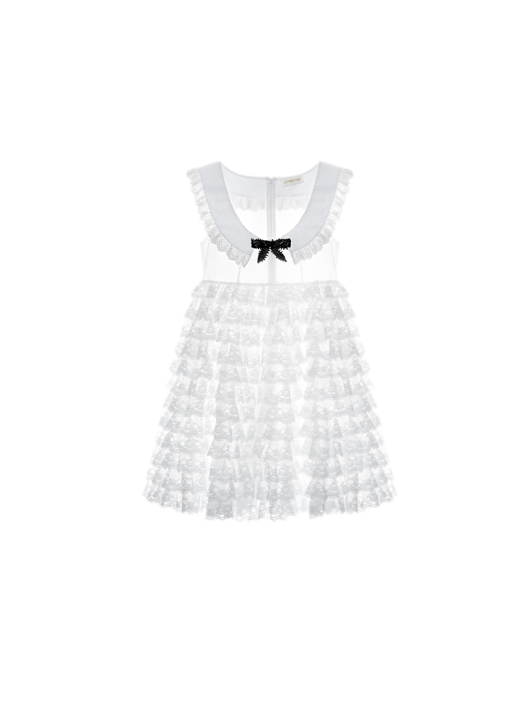 High-Waisted A-Line Lace Dress