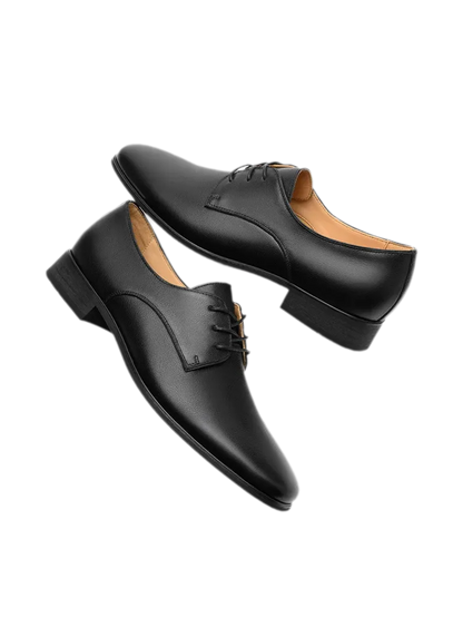 Top-Grain Leather Pointed Derby Shoes