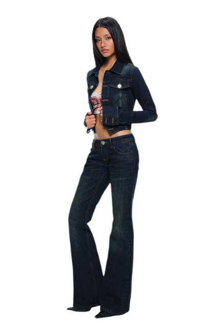 Embroidered Low-Rise Flared Jeans