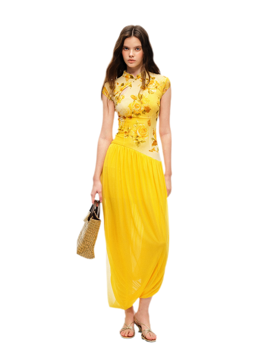 Rose Print Modern Qipao Dress