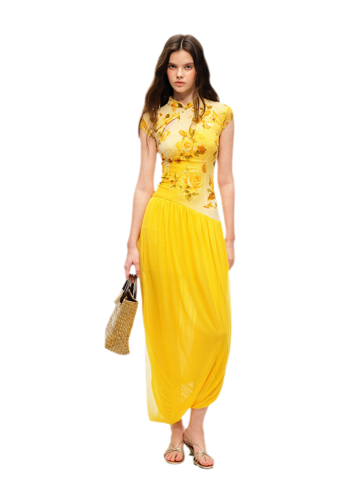 Rose Print Modern Qipao Dress