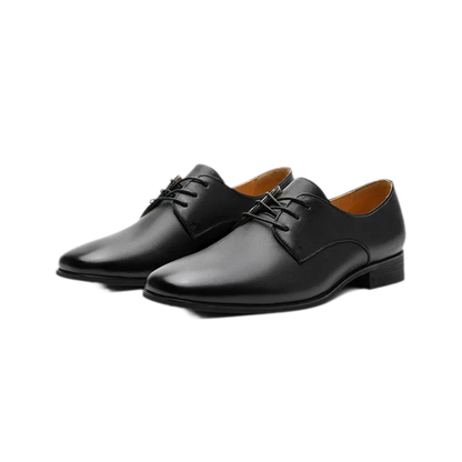 Top-Grain Leather Pointed Derby Shoes