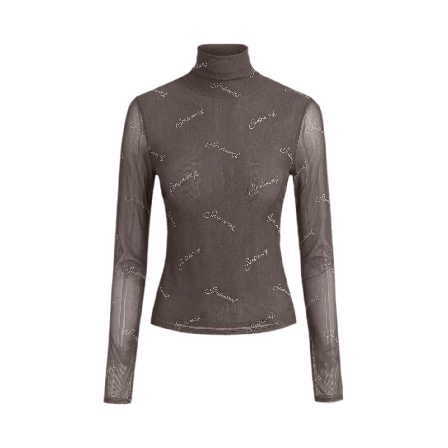 Mesh Turtleneck Top