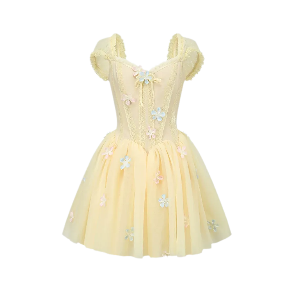 Lace Corset Flared Dress