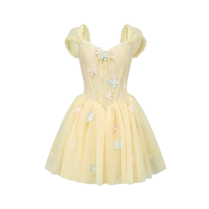 Lace Corset Flared Dress
