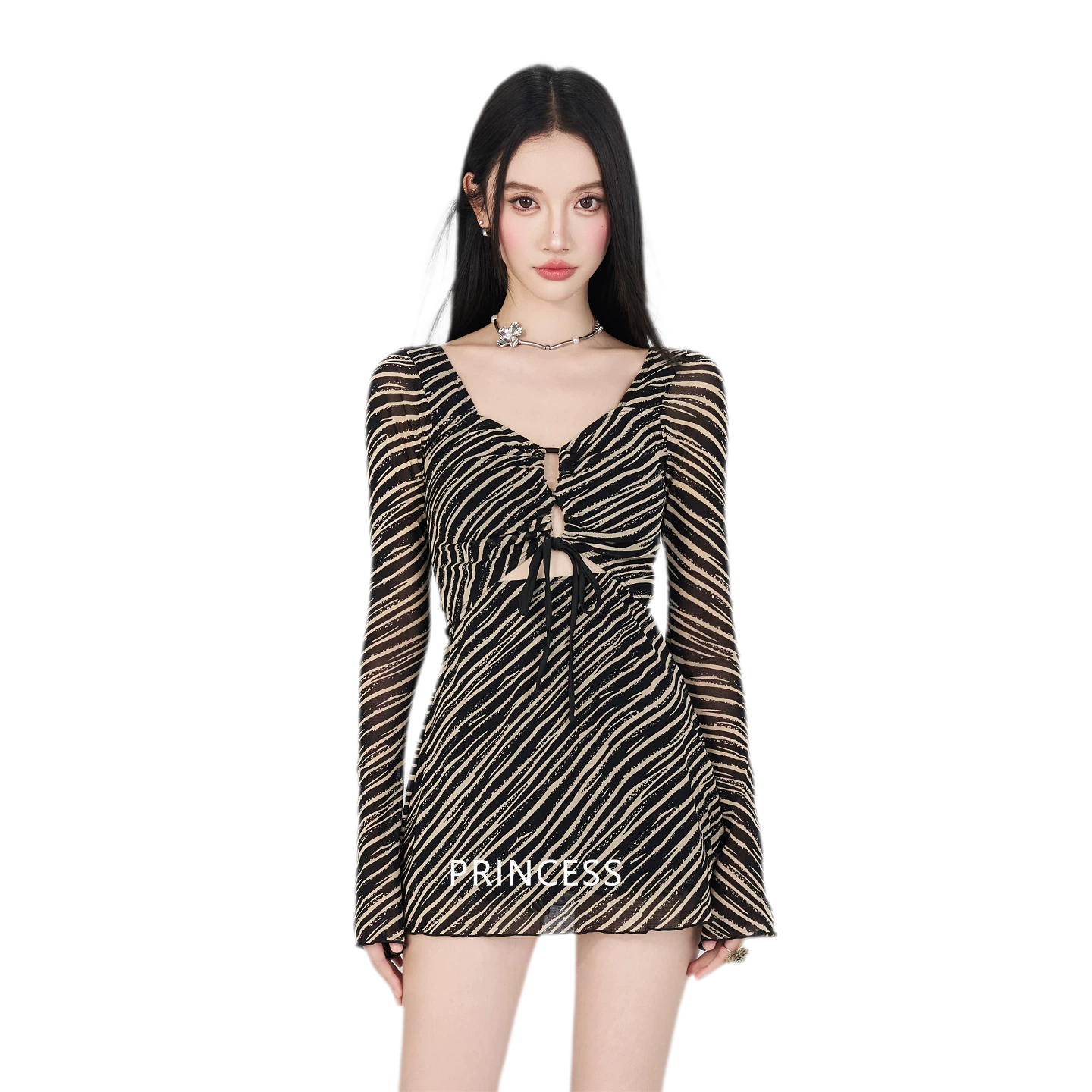 Sheer Mesh Mini Dress