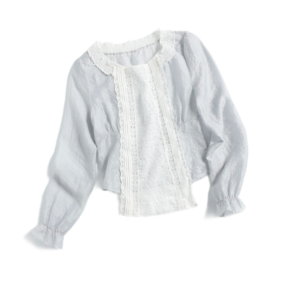 Embroidered Lace Cropped Blouse