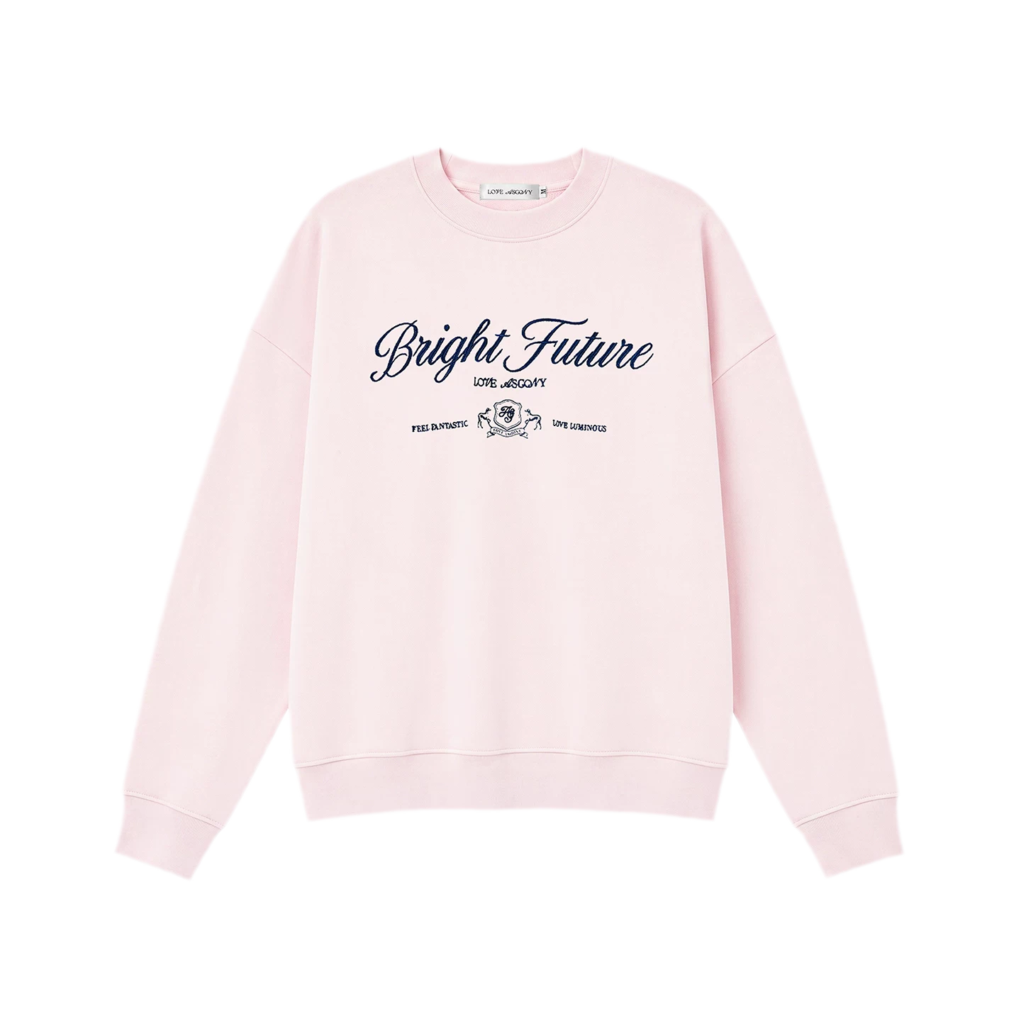 Embroidered Graphic Crewneck Sweatshirt