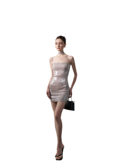Sequin Bodycon Mini Dress